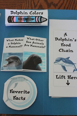 Dolphin Lapbook